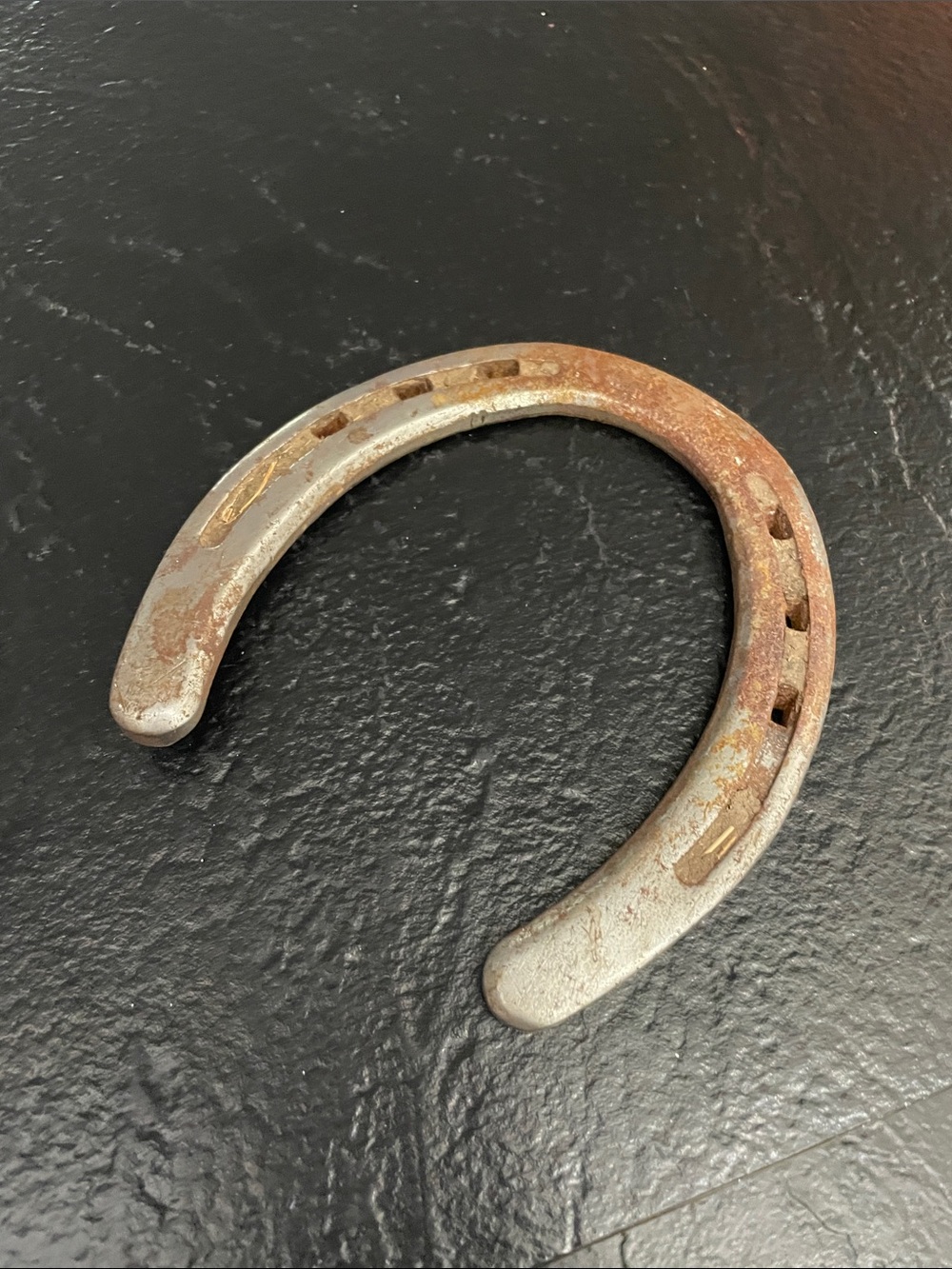 Classic Rustic Horseshoe - Silver/Brown